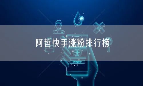 阿哲快手涨粉排行榜