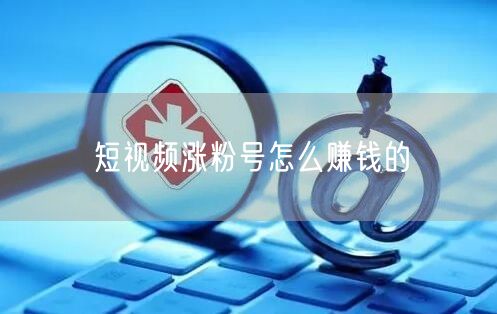 短视频涨粉号怎么赚钱的