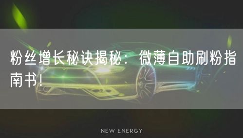 粉丝增长秘诀揭秘：微薄自助刷粉指南书！