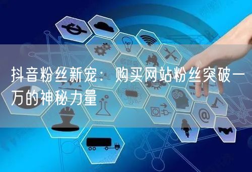 抖音粉丝新宠：购买网站粉丝突破一万的神秘力量