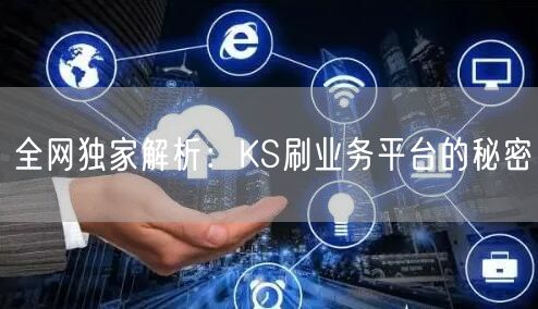 全网独家解析：KS刷业务平台的秘密