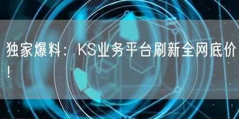 独家爆料：KS业务平台刷新全网底价！