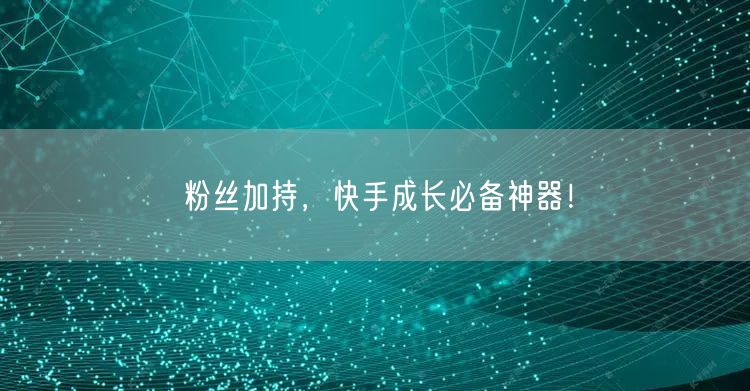 粉丝加持，快手成长必备神器！