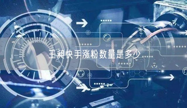 王昶快手涨粉数量是多少
