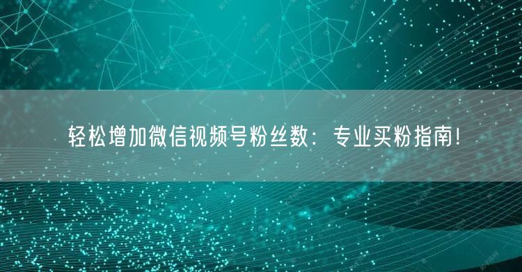 轻松增加微信视频号粉丝数：专业买粉指南！