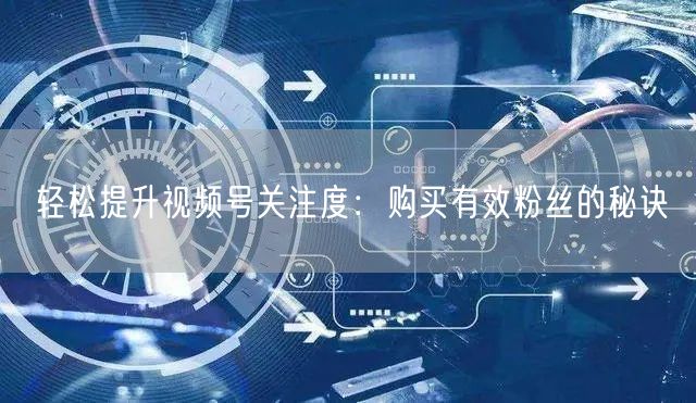 轻松提升视频号关注度：购买有效粉丝的秘诀