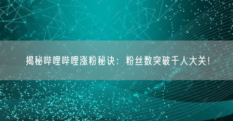 揭秘哔哩哔哩涨粉秘诀：粉丝数突破千人大关