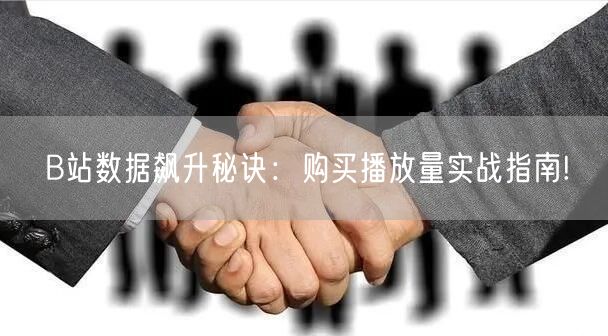 B站数据飙升秘诀：购买播放量实战指南!