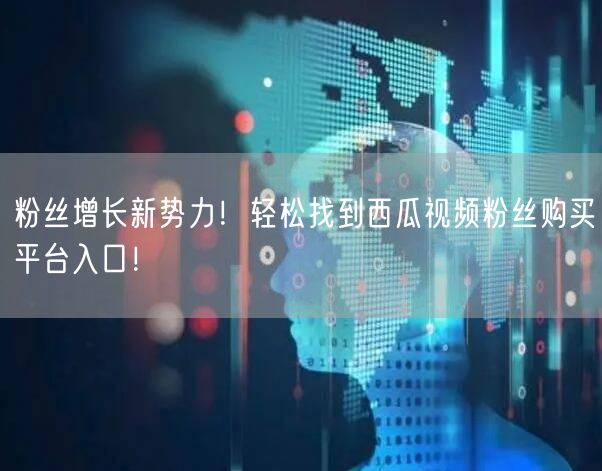 粉丝增长新势力！轻松找到西瓜视频粉丝购买平台入口！