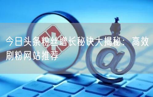 今日头条粉丝增长秘诀大揭秘：高效刷粉网站