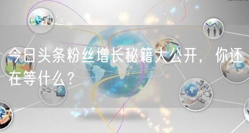 今日头条粉丝增长秘籍大公开，你还在等什么？