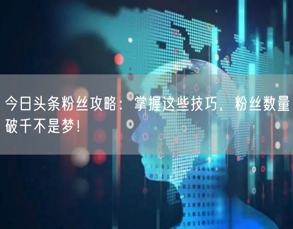 今日头条粉丝攻略：掌握这些技巧，粉丝数量