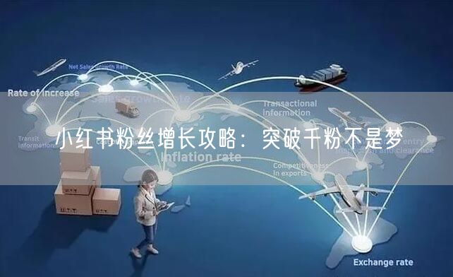 小红书粉丝增长攻略：突破千粉不是梦