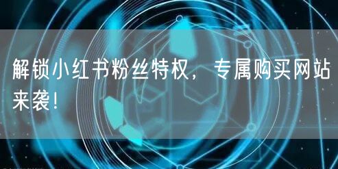 解锁小红书粉丝特权，专属购买网站来袭！