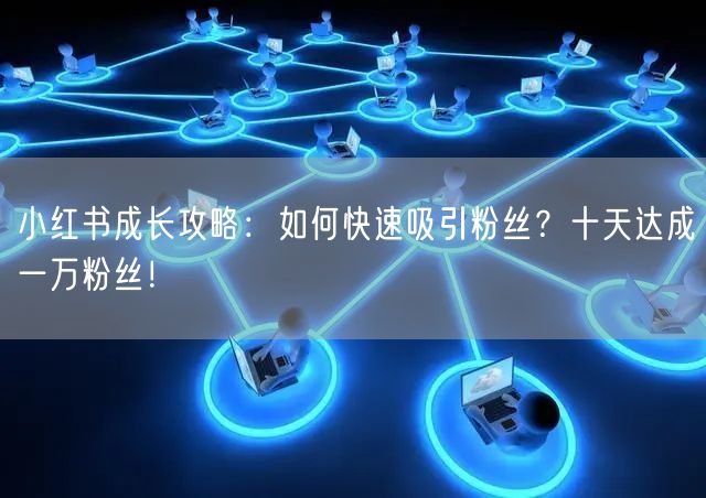 小红书成长攻略：如何快速吸引粉丝？十天达