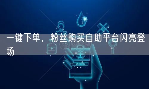 一键下单，粉丝购买自助平台闪亮登场