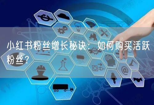 小红书粉丝增长秘诀：如何购买活跃粉丝？