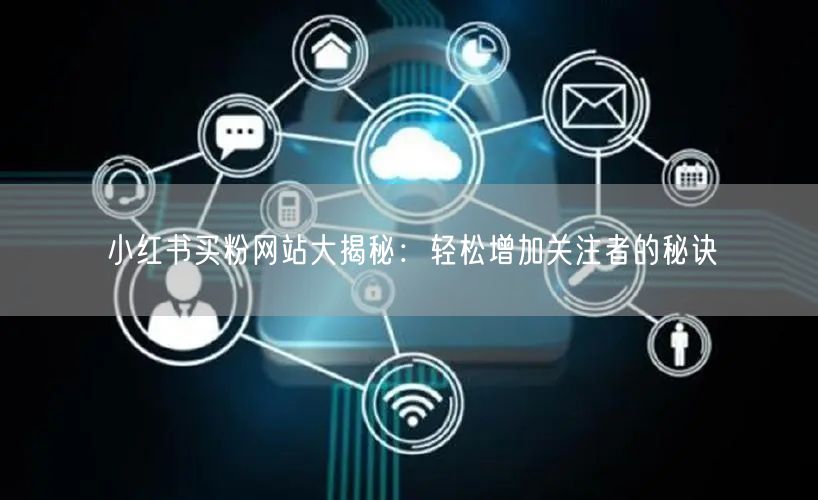 小红书买粉网站大揭秘：轻松增加关注者的秘