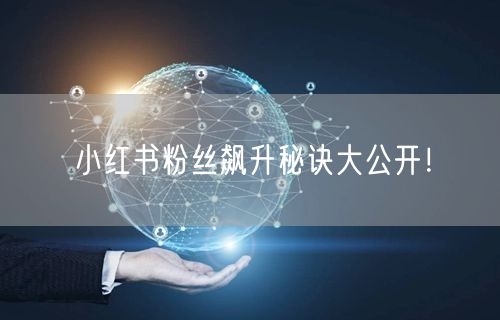 小红书粉丝飙升秘诀大公开！