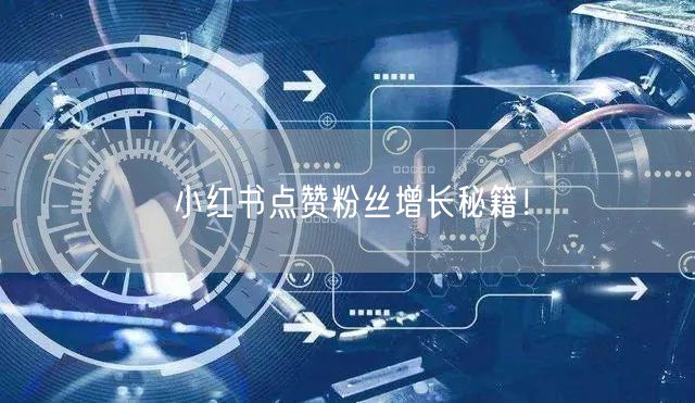 小红书点赞粉丝增长秘籍！