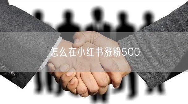 怎么在小红书涨粉500