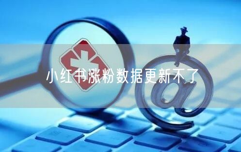 小红书涨粉数据更新不了