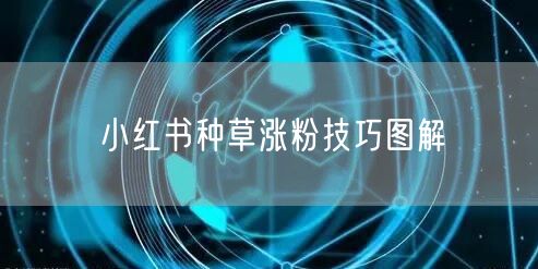 小红书种草涨粉技巧图解