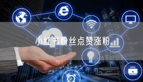 小红书粉丝点赞涨粉