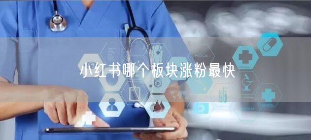 小红书哪个板块涨粉最快