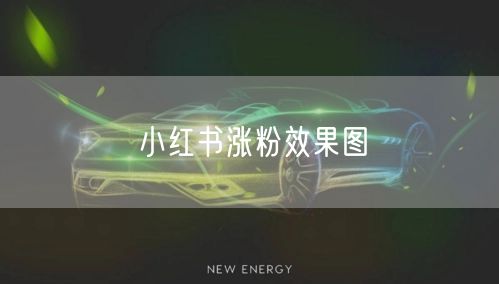 小红书涨粉效果图