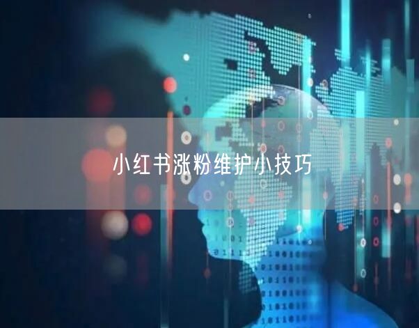 小红书涨粉维护小技巧