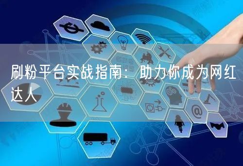 刷粉平台实战指南：助力你成为网红达人