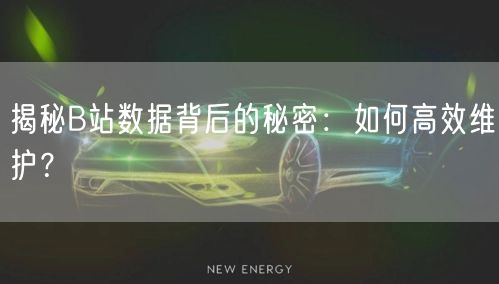 揭秘B站数据背后的秘密：如何高效维护？