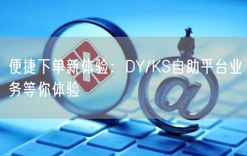 便捷下单新体验：DY/KS自助平台业务等你体验
