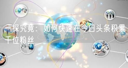 一探究竟：如何快速在今日头条积累千位粉丝