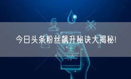 今日头条粉丝飙升秘诀大揭秘!