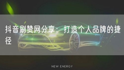 抖音刷赞网分享：打造个人品牌的捷径