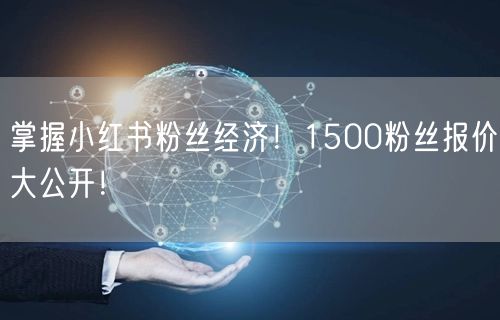 掌握小红书粉丝经济！1500粉丝报价大公开！