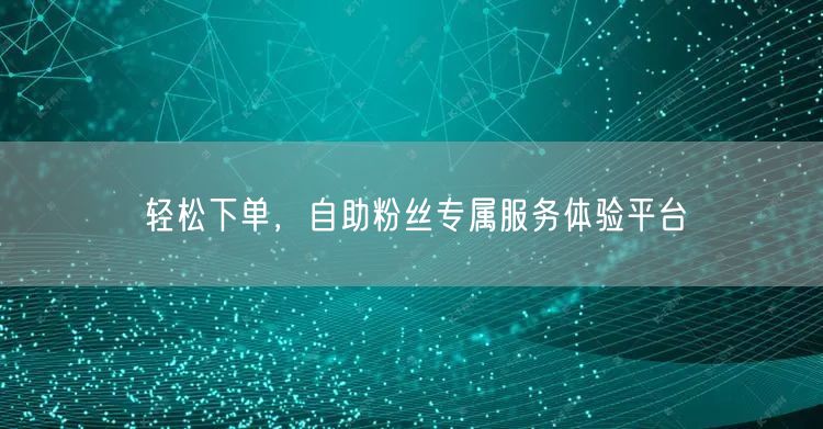 轻松下单，自助粉丝专属服务体验平台