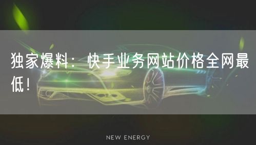 独家爆料：快手业务网站价格全网最低！