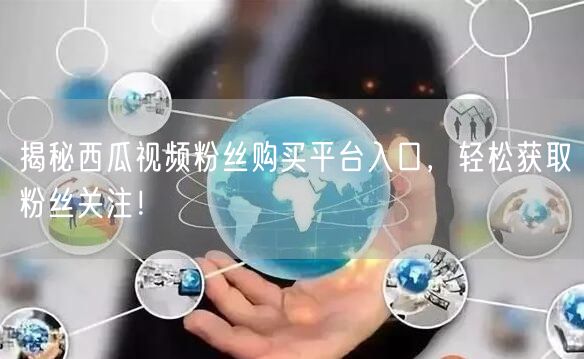 揭秘西瓜视频粉丝购买平台入口，轻松获取粉丝关注！