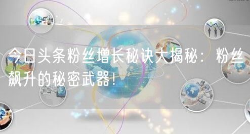 今日头条粉丝增长秘诀大揭秘：粉丝飙升的秘密武器！