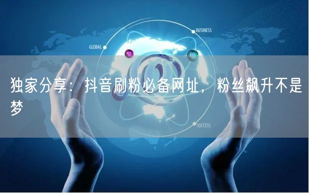 独家分享：抖音刷粉必备网址，粉丝飙升不是梦