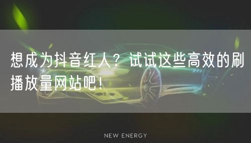 想成为抖音红人？试试这些高效的刷播放量网