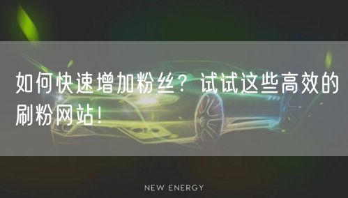 如何快速增加粉丝？试试这些高效的刷粉网站！