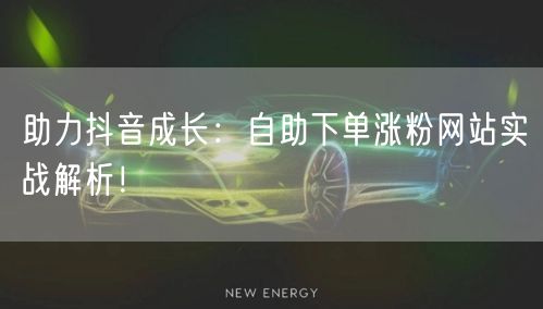 助力抖音成长：自助下单涨粉网站实战解析！