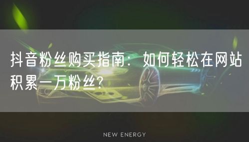 抖音粉丝购买指南：如何轻松在网站积累一万粉丝?