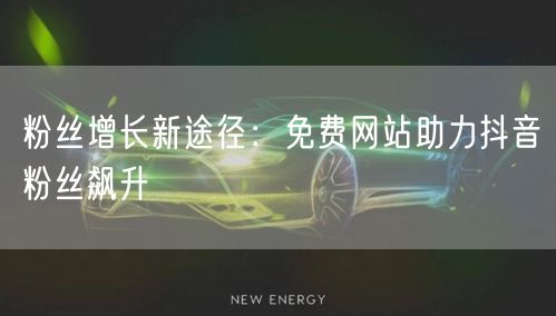 粉丝增长新途径：免费网站助力抖音粉丝飙升