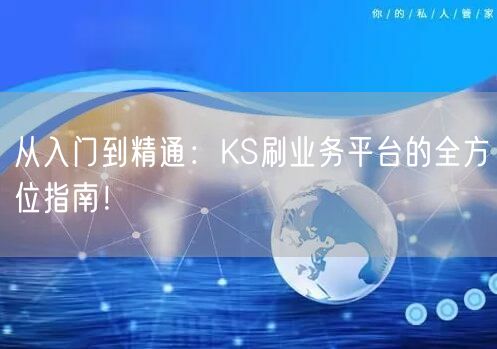 从入门到精通：KS刷业务平台的全方位指南