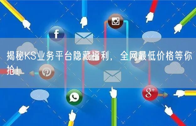 揭秘KS业务平台隐藏福利，全网最低价格等